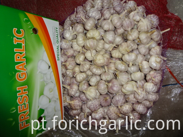 Size 5 0 Cop 2019 Normal Garlic